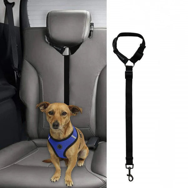 Car Backseat Pet Leash For Stability